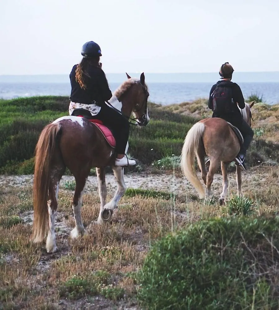 Horse Country Resort Congress & Spa - Hotel Ribot Arborea 4*,