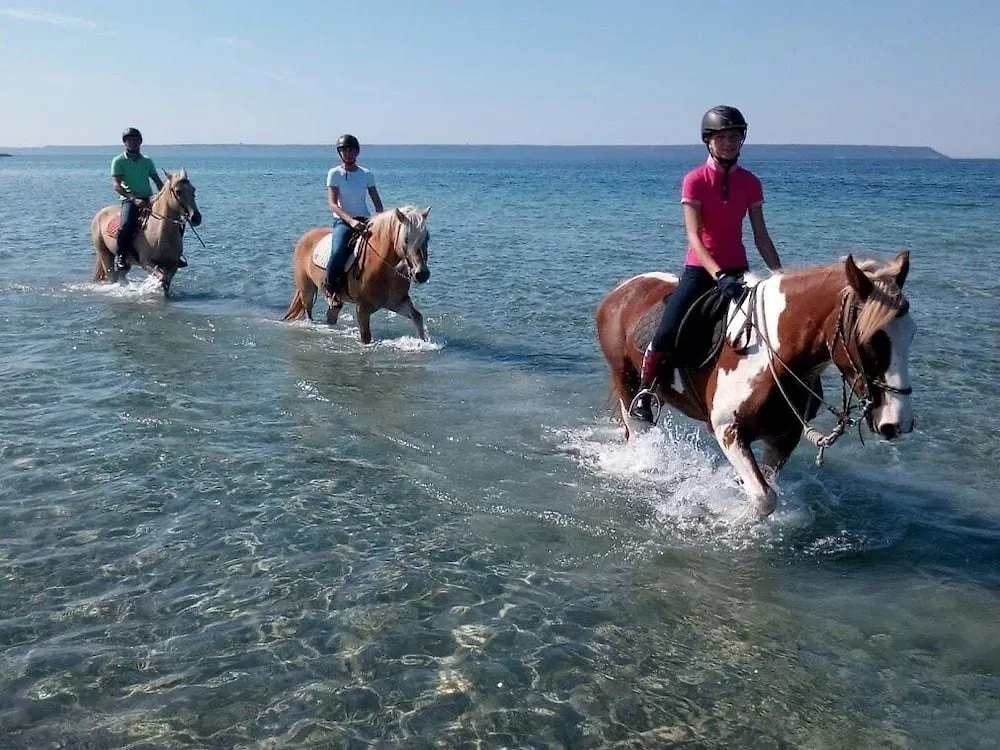 Horse Country Resort Congress & Spa - Hotel Ribot Arborea
