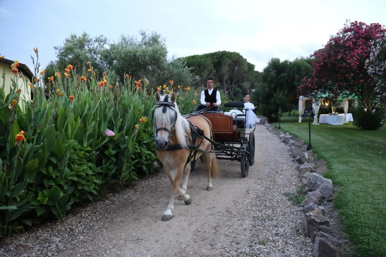 Horse Country Resort Congress & Spa - Hotel Ribot Arborea