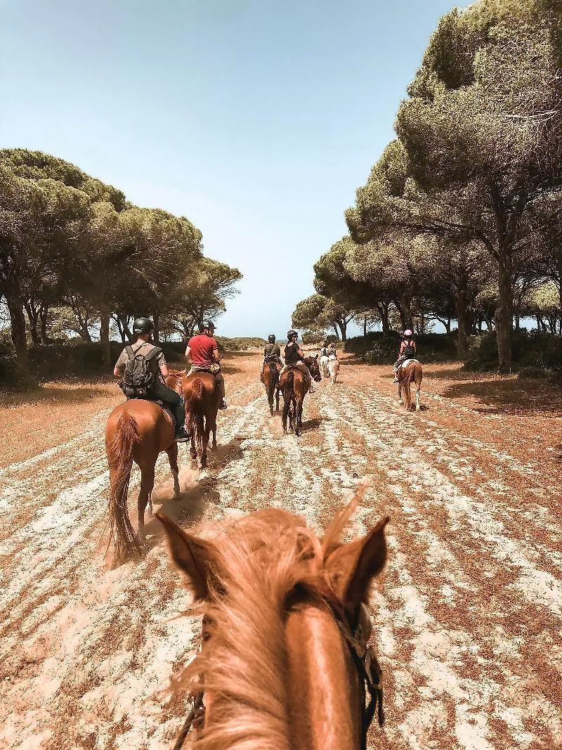 Horse Country Resort Congress & Spa - Hotel Ribot Arborea